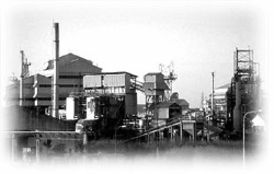 Bhopal Plant